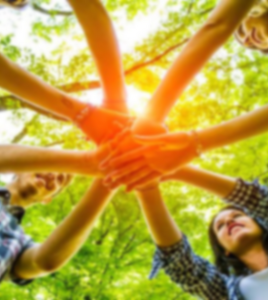 ICE BREAKING CESSIONS